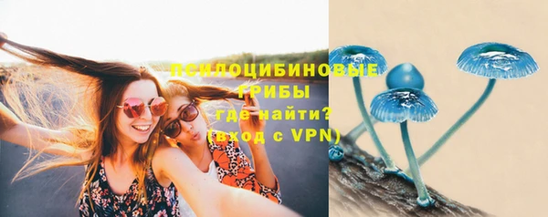 спайс Майский