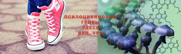 каннабис Магас