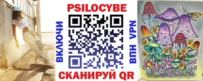 Галлюциногенные грибы Psilocybe  Хилок 
